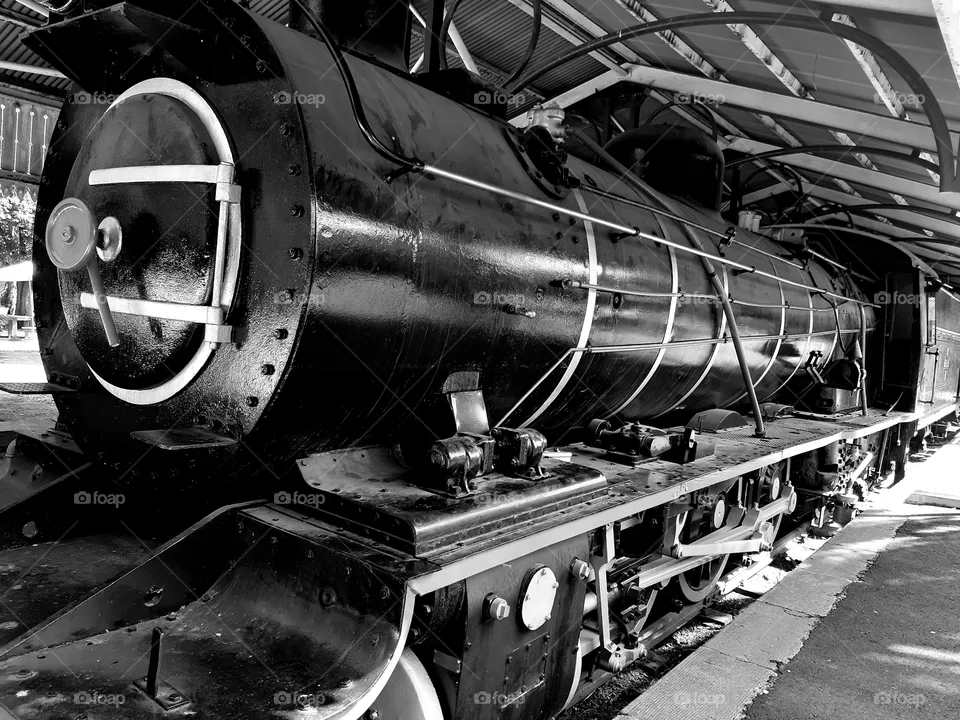 Train