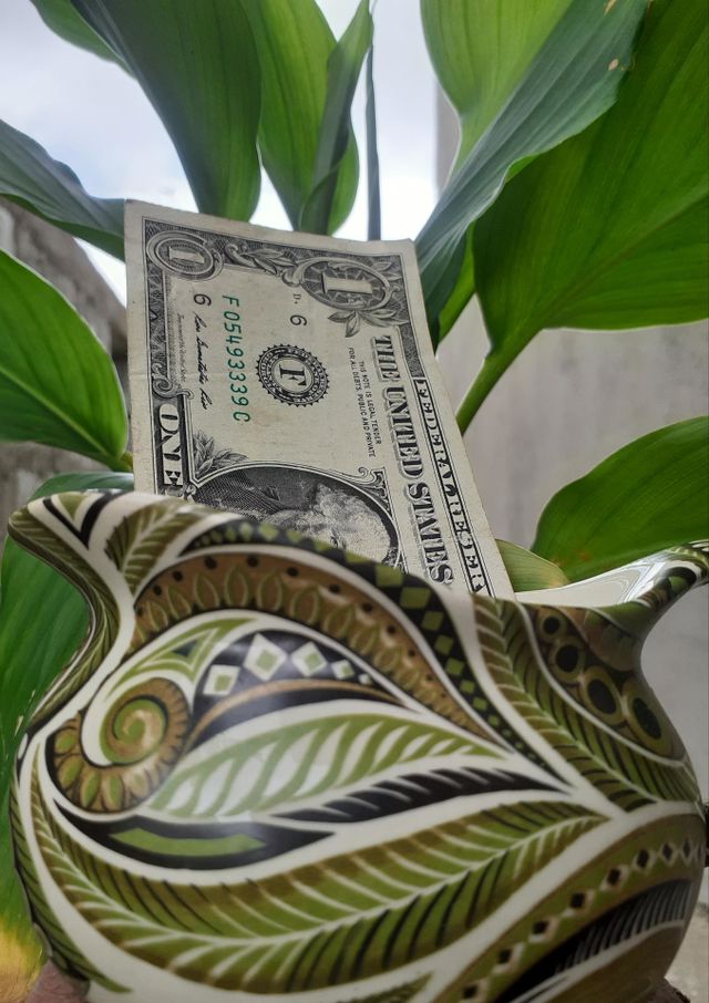 one dollar with green