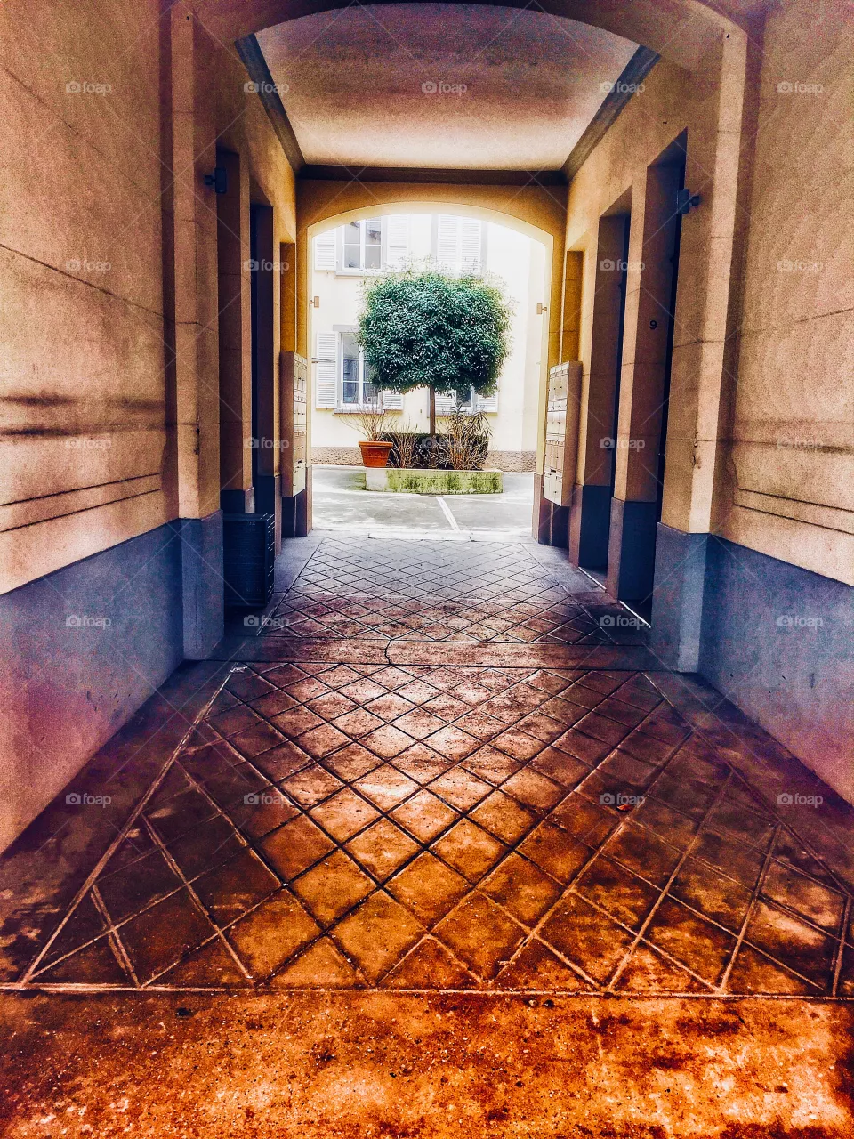 Entry 
