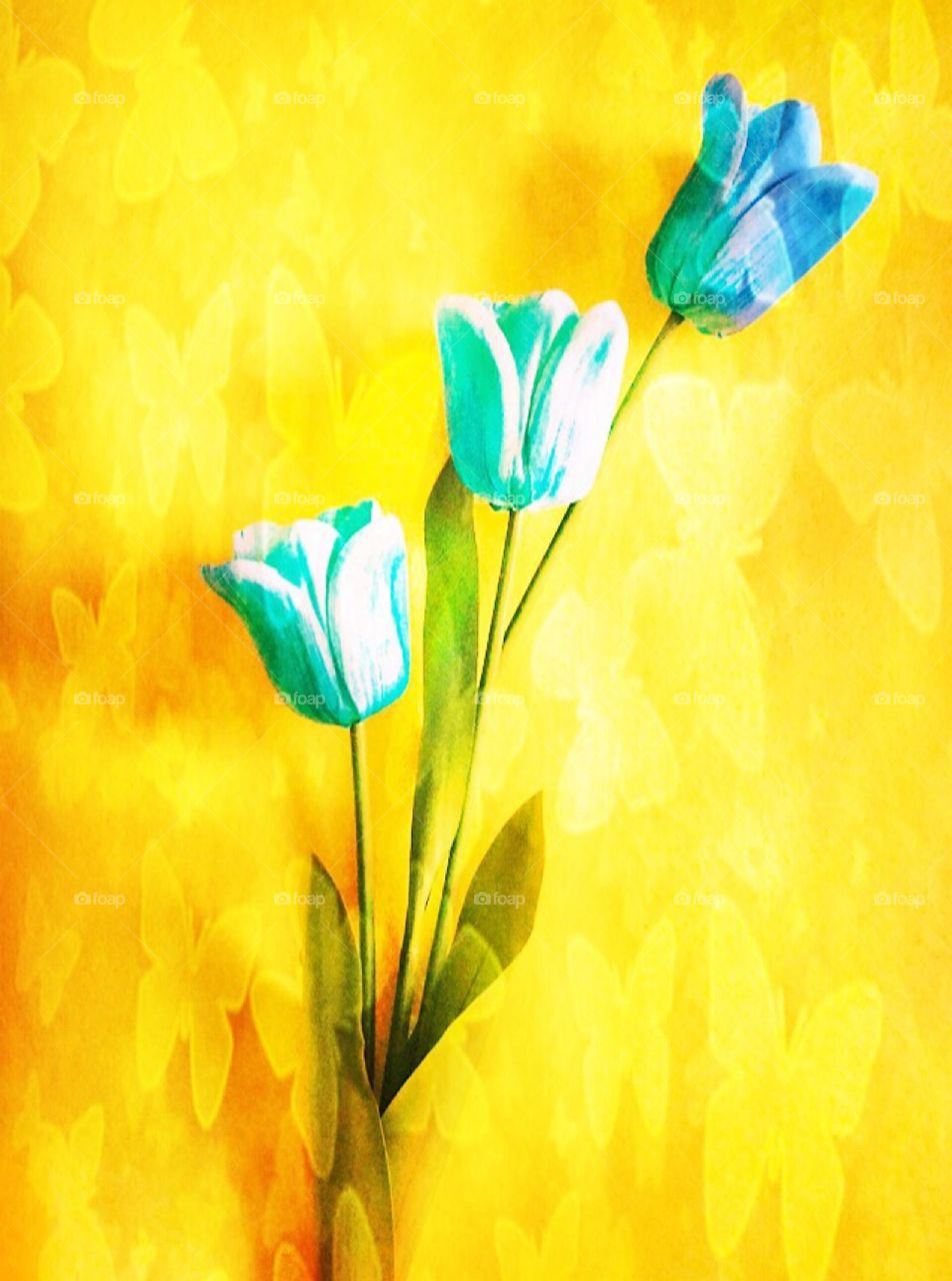 Painting and art with flowers 