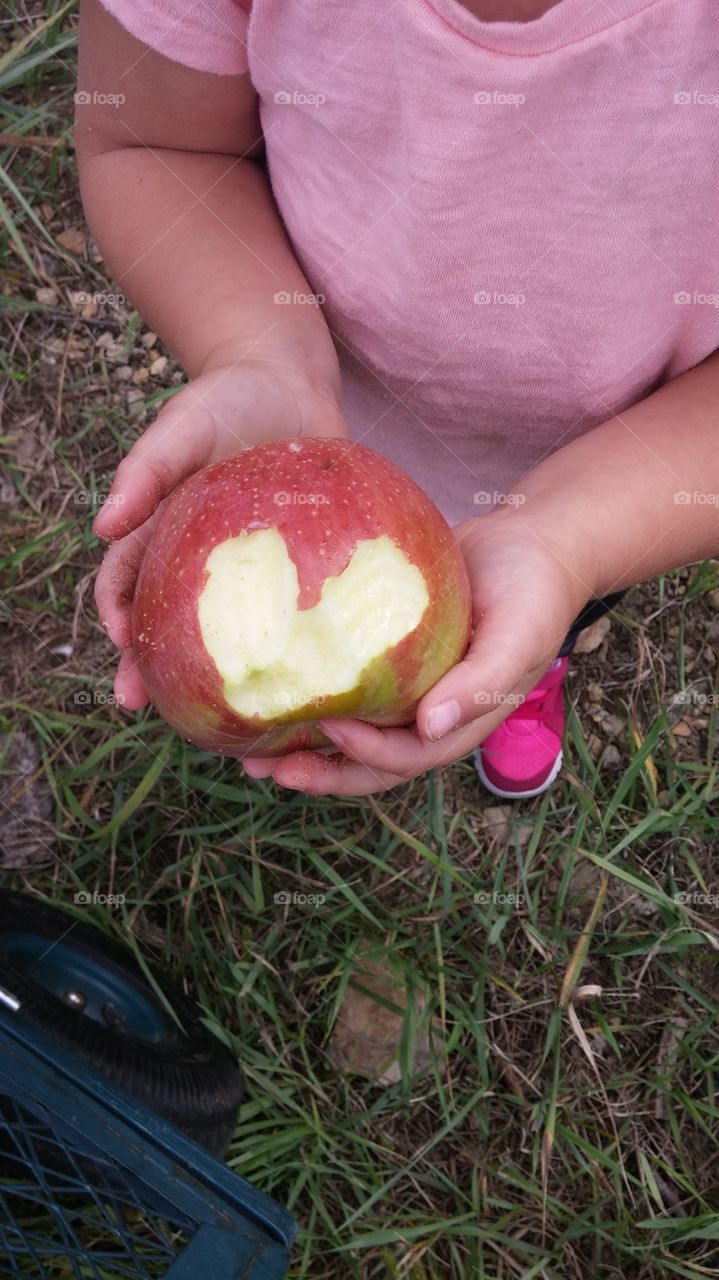 heart in her hands. my daughter took a few bites of this Apple at the orchard and chewed a heart into the Apple. she is only 2 yrs old