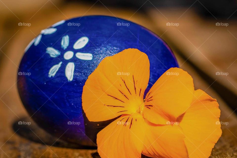 Hand made Easter egg and spring flower.