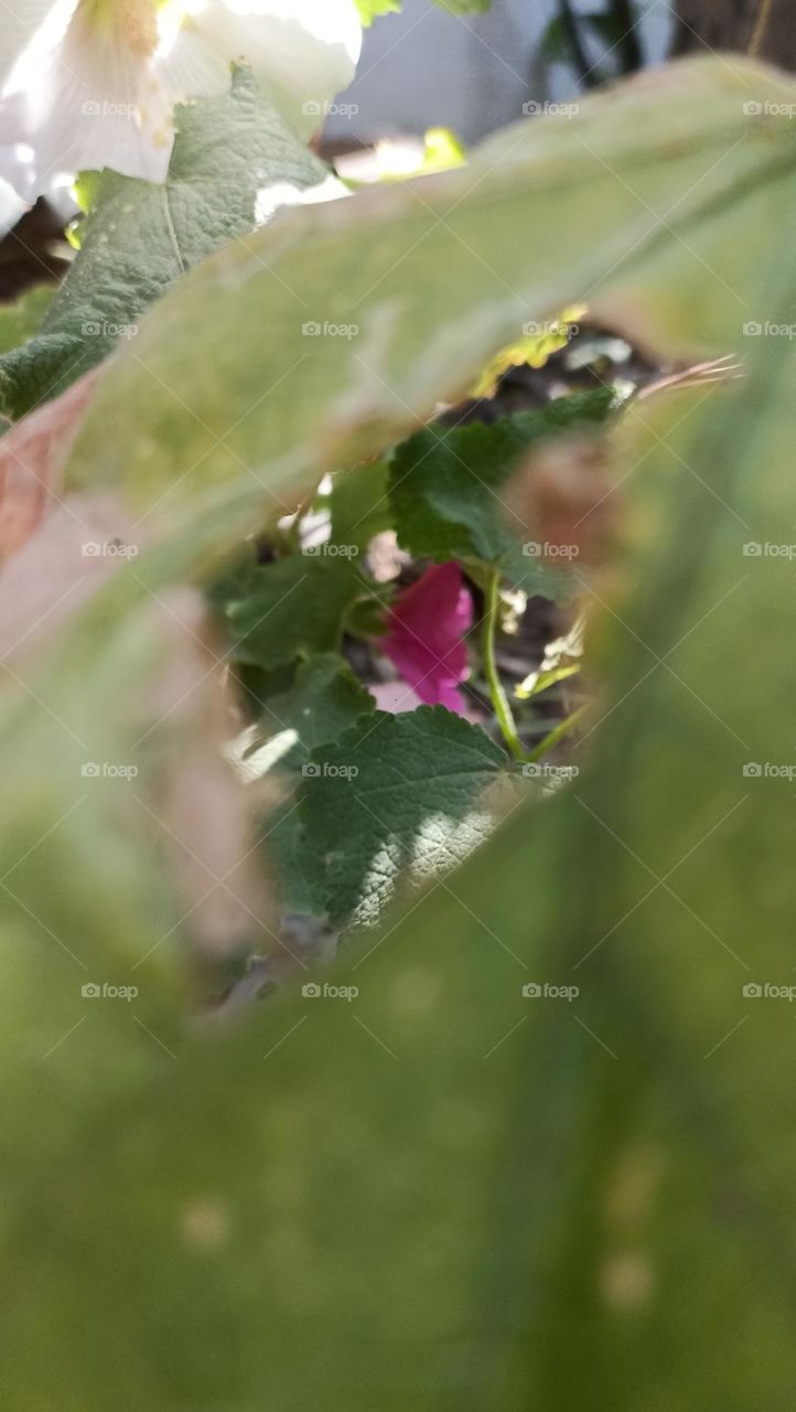 whisper slowly I am behind you please don't tell