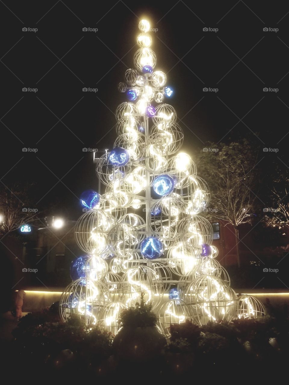 Christmas, Winter, Celebration, Christmas Tree, Shining