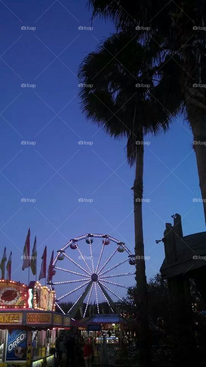 silhouette over park