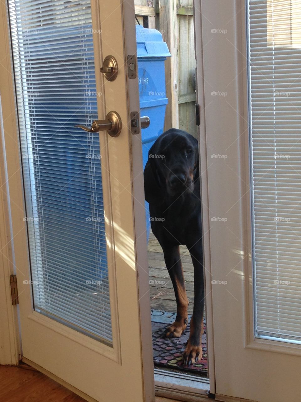 May I come in? 