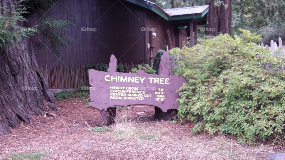chimney tree information sign