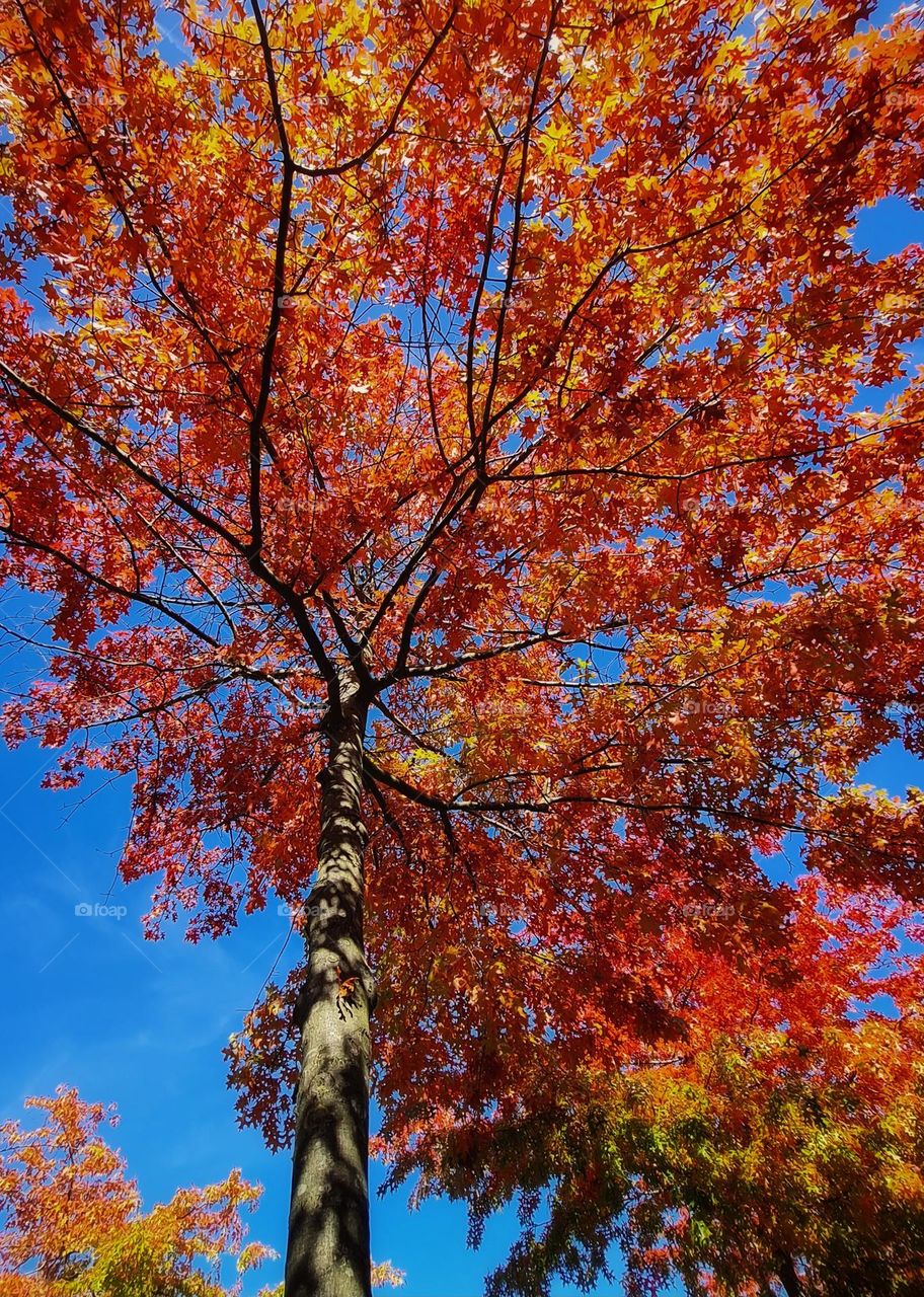 Beautiful warm colors, i love it🧡❤️