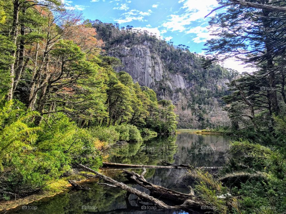 Hike in Chile 