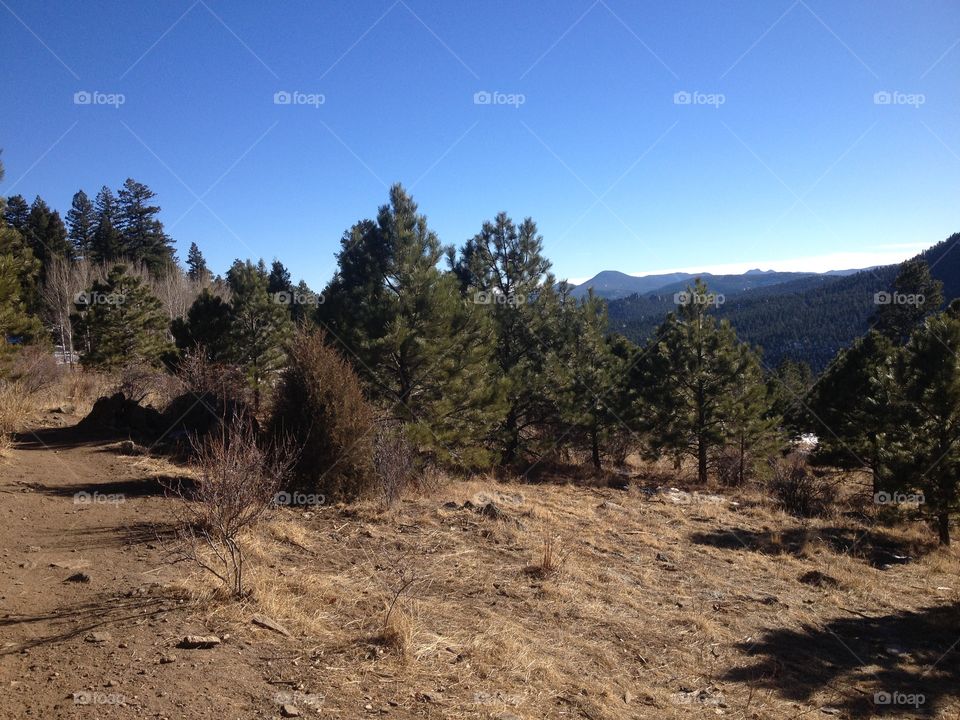 The view from Evergreen, Colorado 