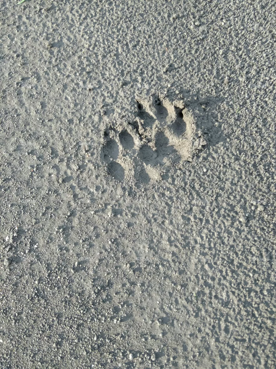 track