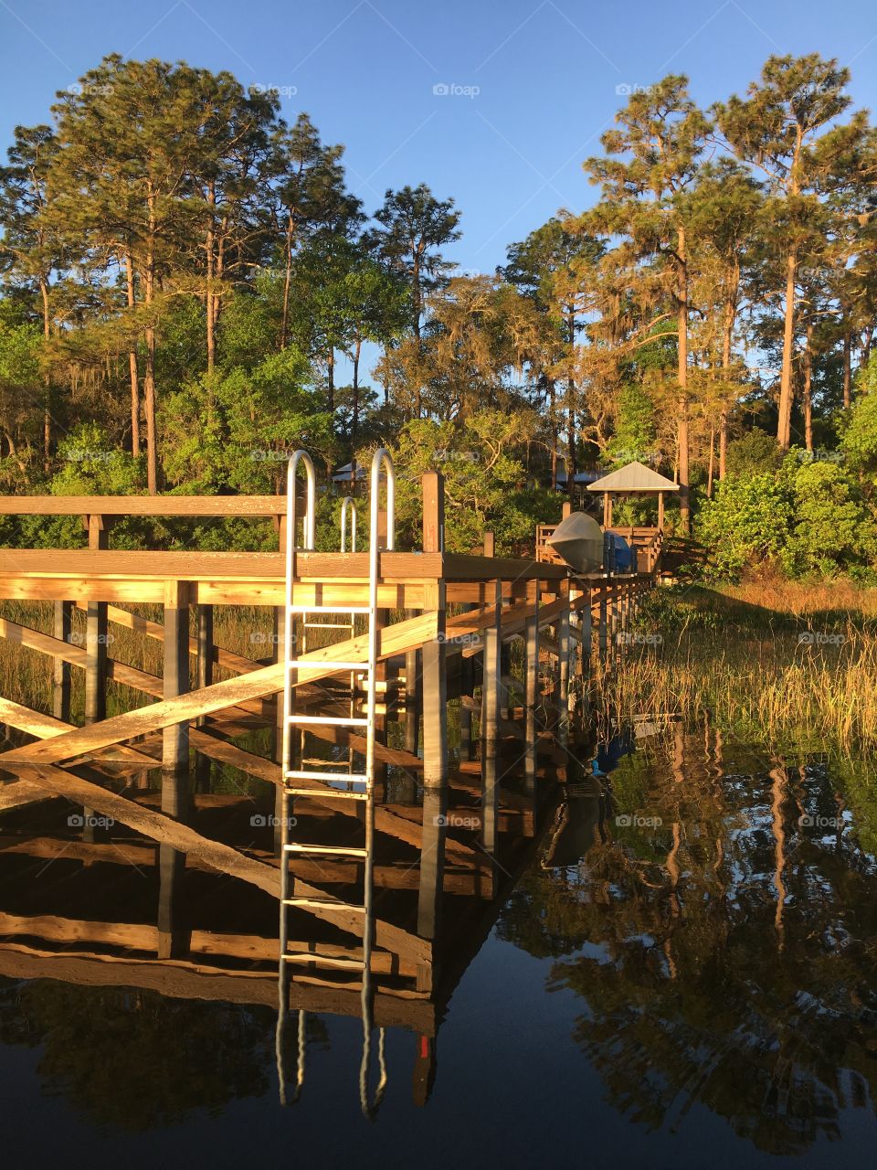 Wood, Tree, Water, Reflection, Lake