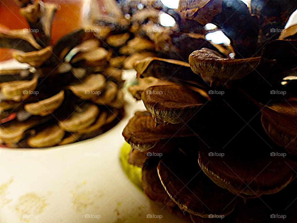 A couple pinecones as decoration