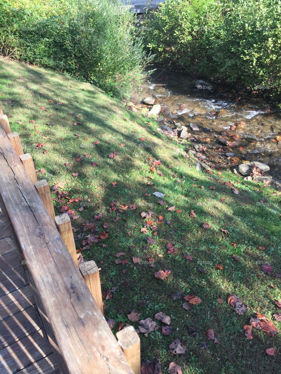 Stream by the deck