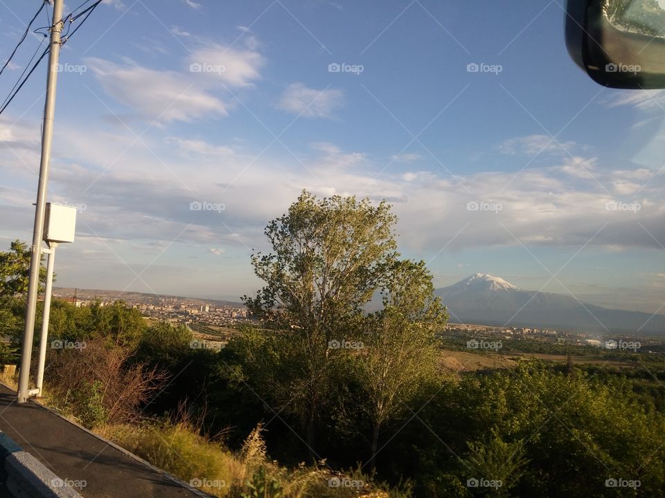 Ararat