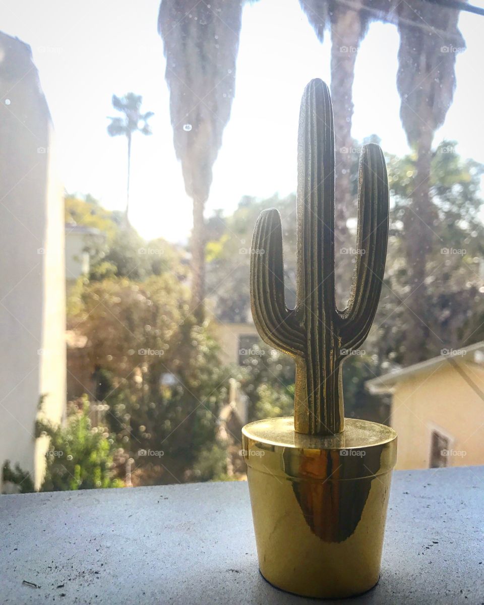 Golden Cactus