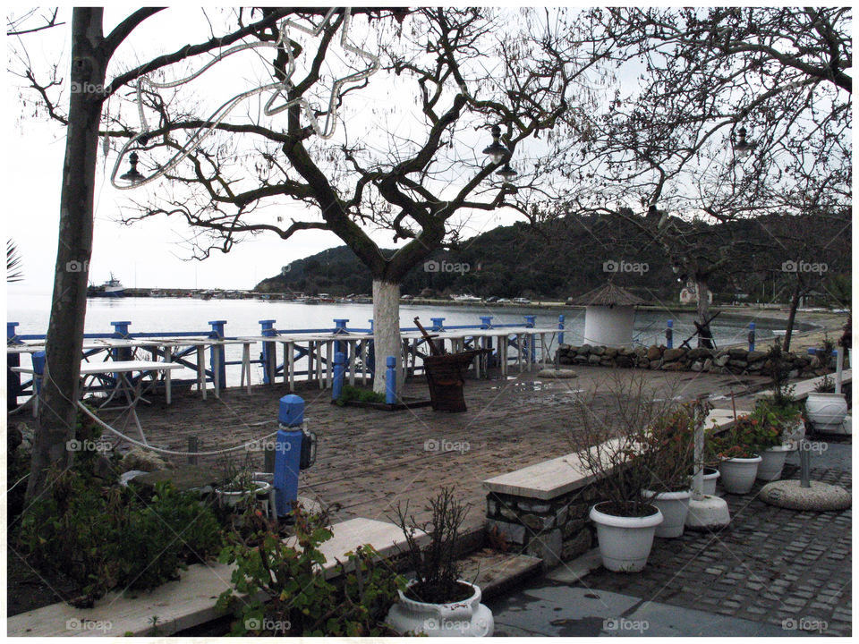 waiting for the summer by jnen