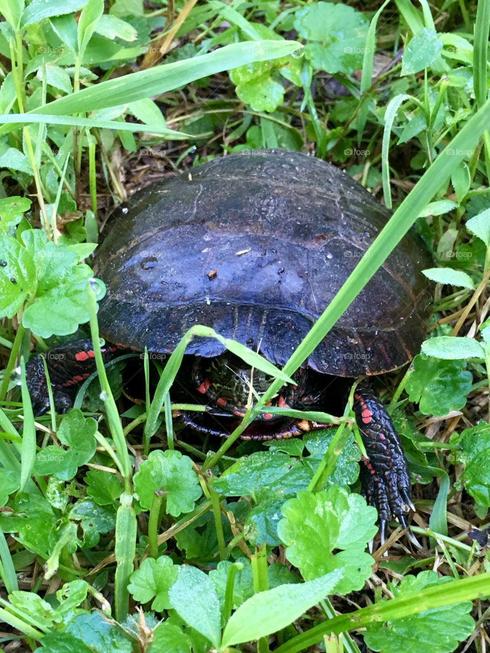 Invading his privacy 