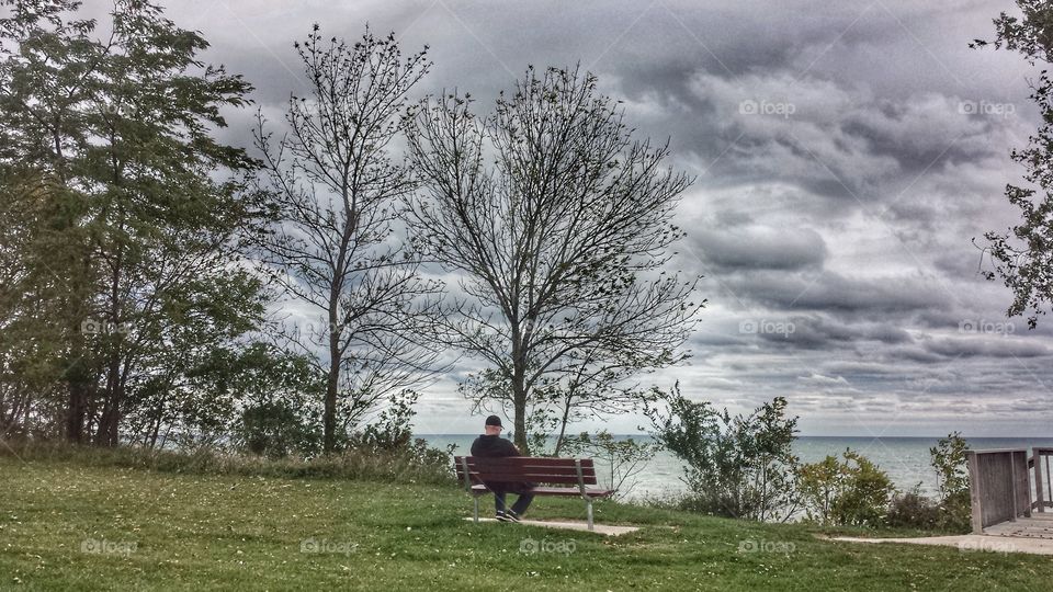 Nature. Man On Park Bench