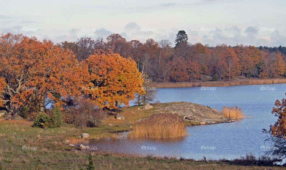 Listerby archipelago, kvalmsö