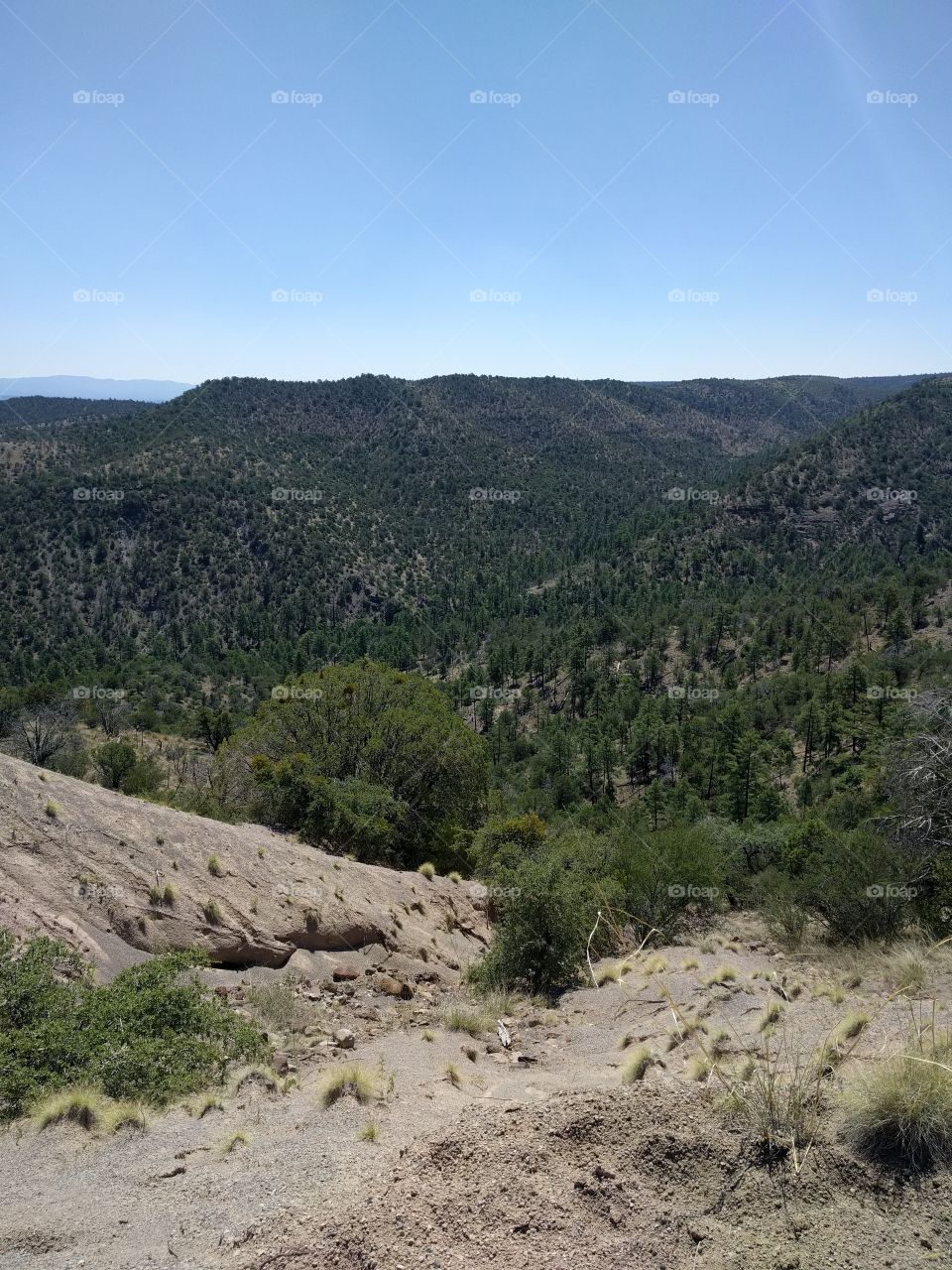 Somewhere around Gila National Forest, New Mexico