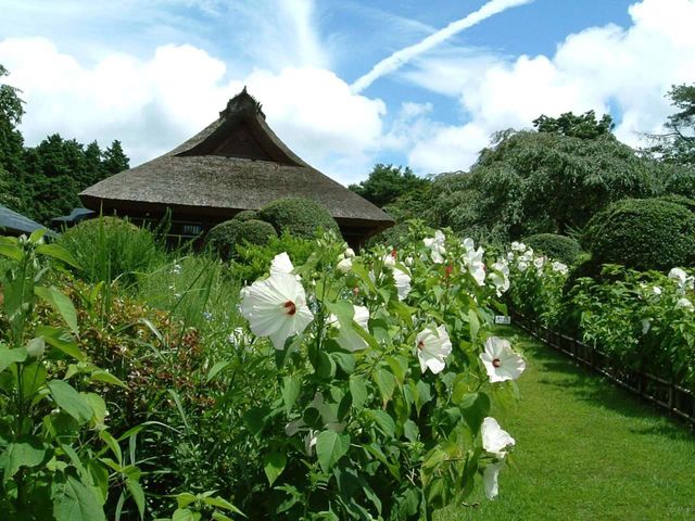 a rest house with beautiful garden