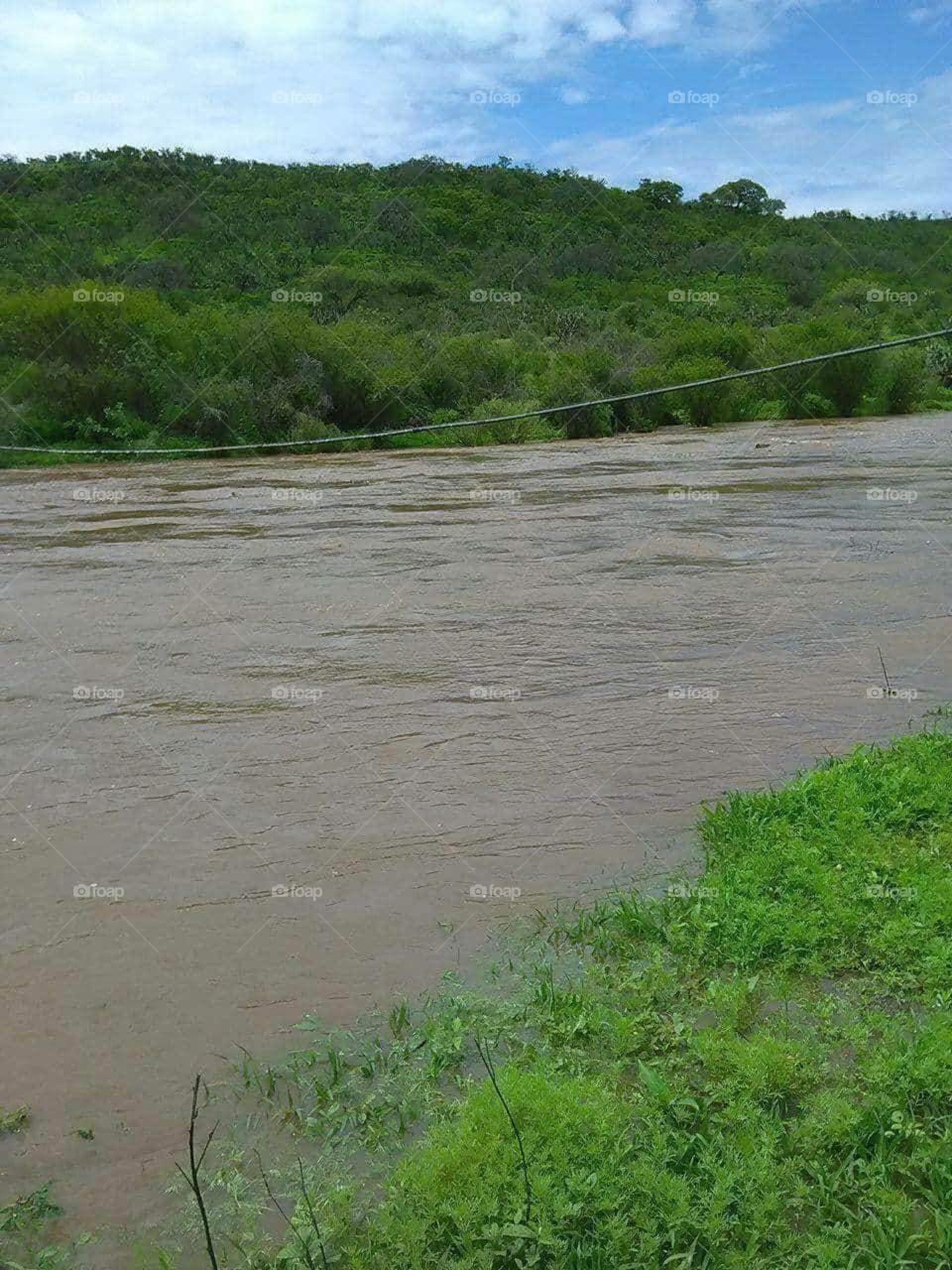 Río  agua y árboles
