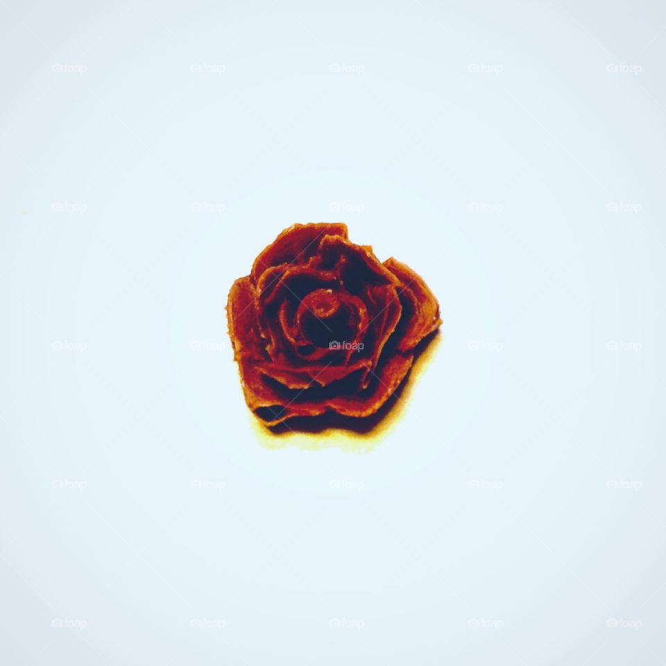 Chocolate rose from mold