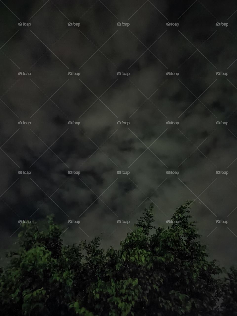 beautiful sky at night