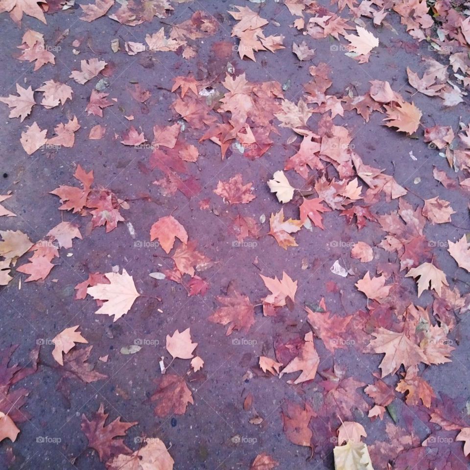 best of 2021: memory of 2021