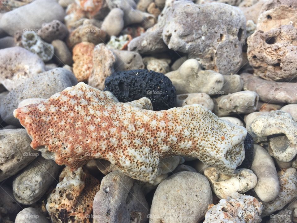 Maui beach stones