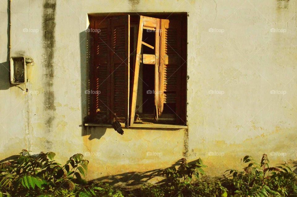 Windows window vintage