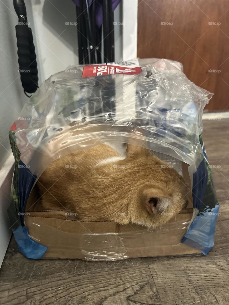 We use to keep water in here. Now it’s for the cat