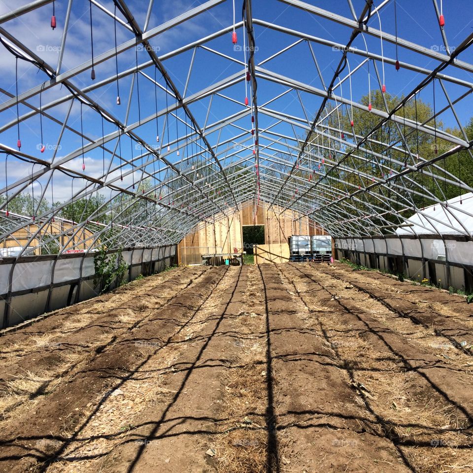Greenhouse Beginning