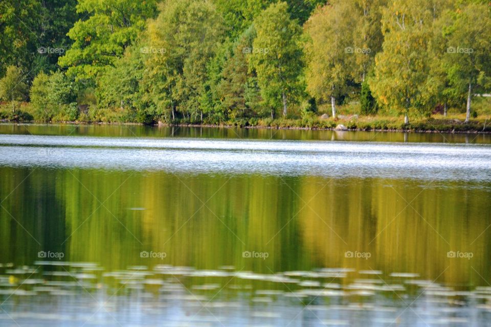 Lake in autumn