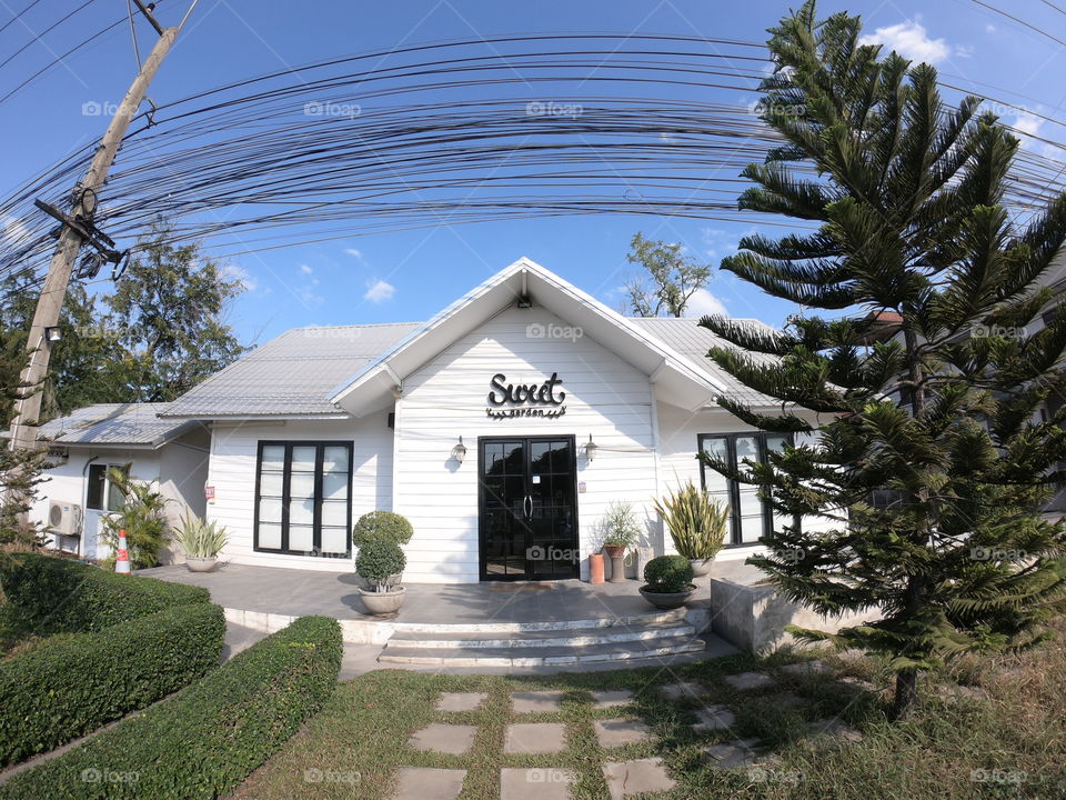 It is another casual cafe.