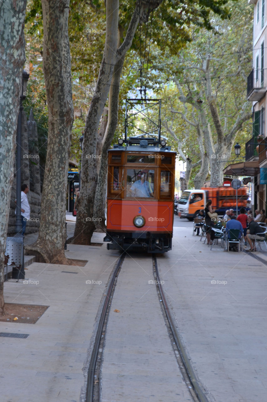 people trees tram evening by christina_p