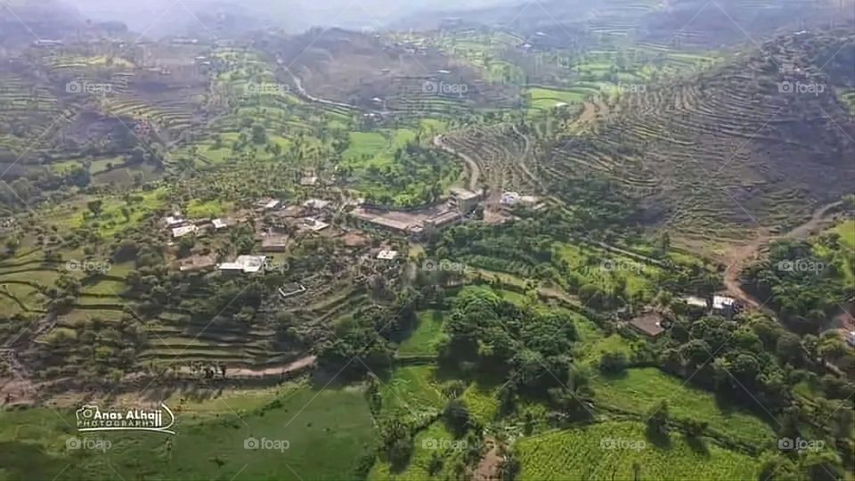 A very beautiful picture, and there is no better picture than it. There is no better picture of green herbs and colorful, red and white roses than it. Glory be to God, the natural and picturesque view, and there is no more