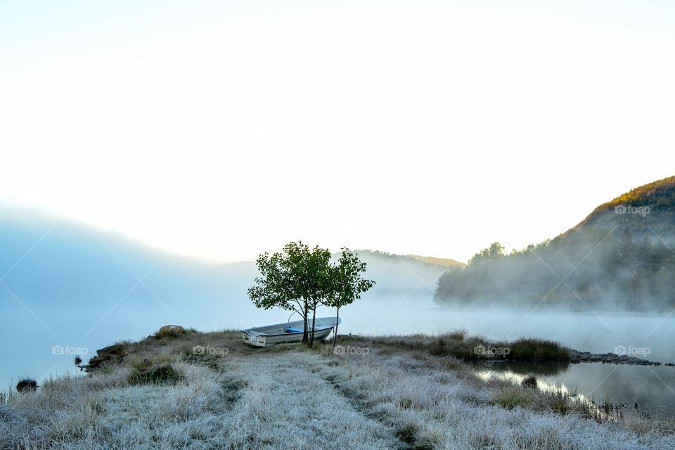 Foggy morning at the lake