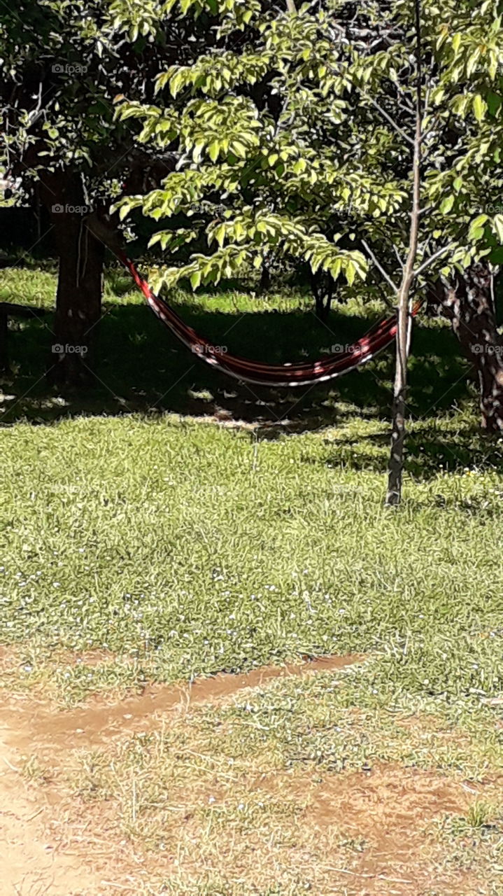 hamaca