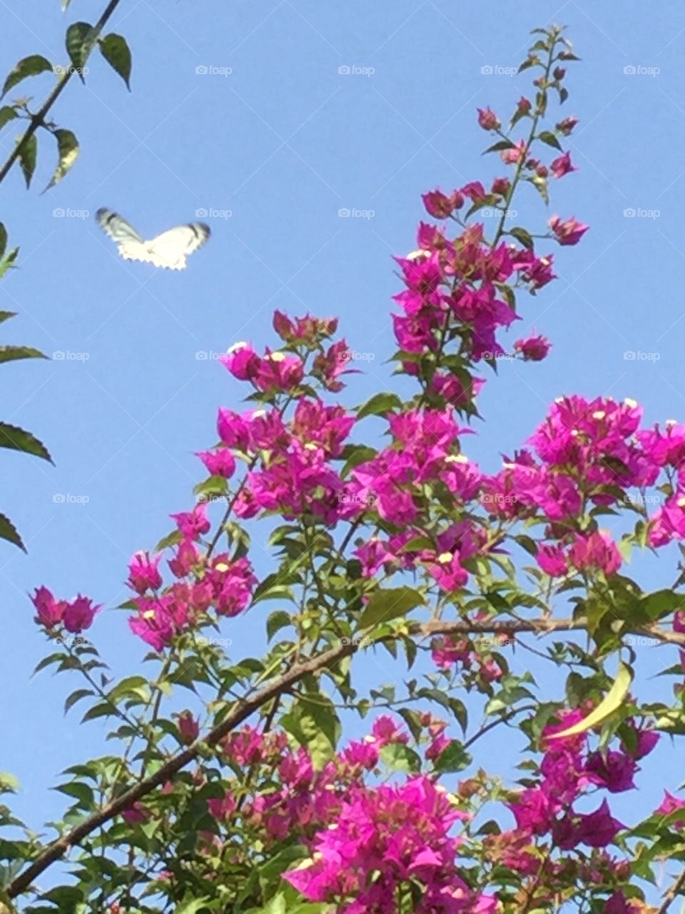 It’s time to meet...