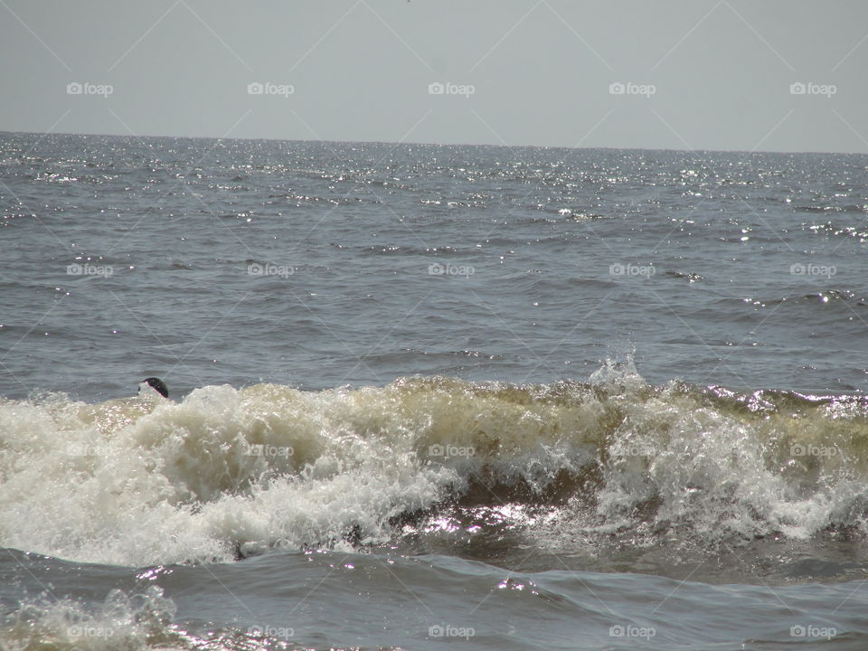 Beach Waves