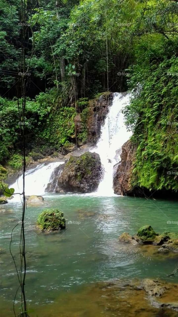 YS Falls, Jamaica 3
