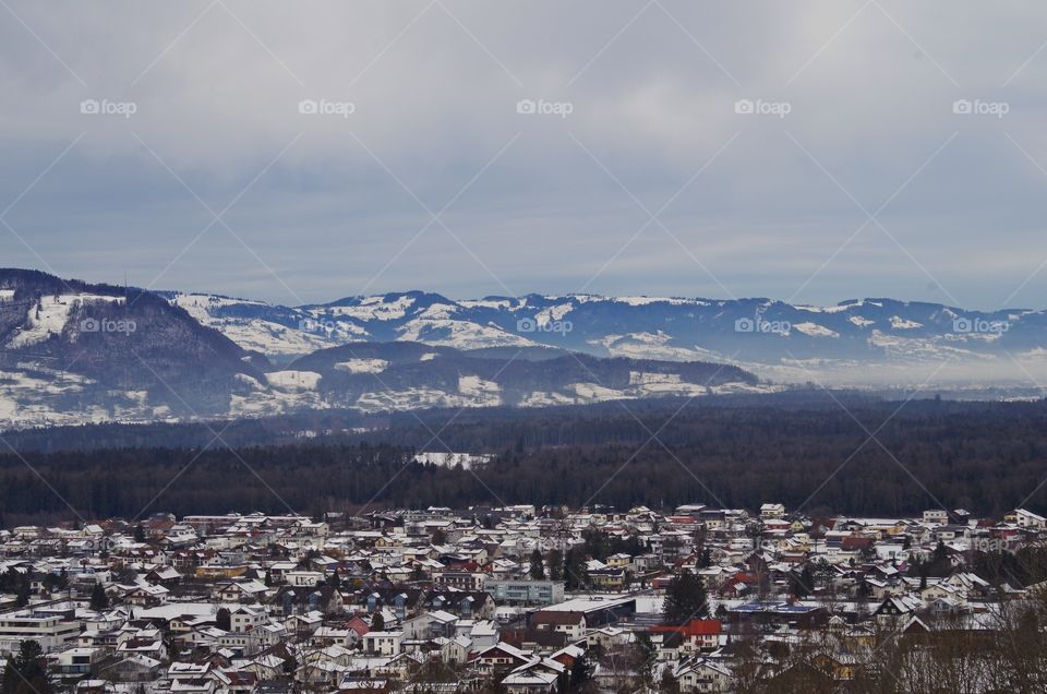 Winter landscape