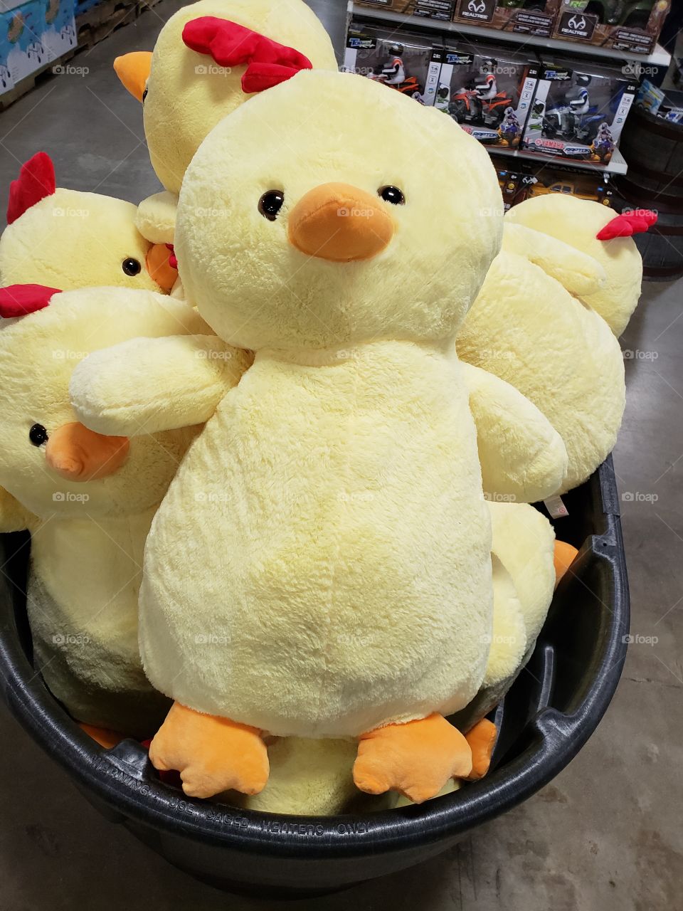 Stuffed Giant Chicken