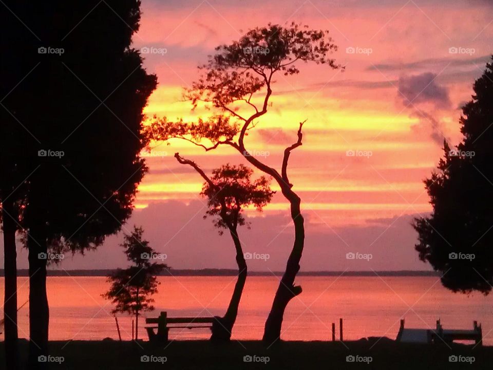 River Night. African Night in Virginia