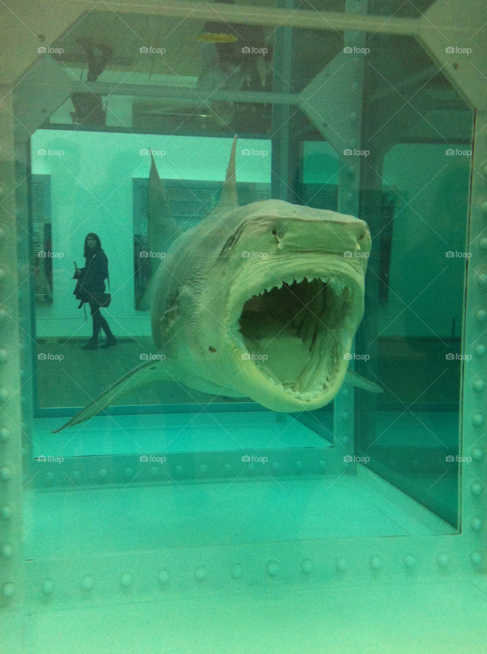london scary shark tate london by pandorachanel