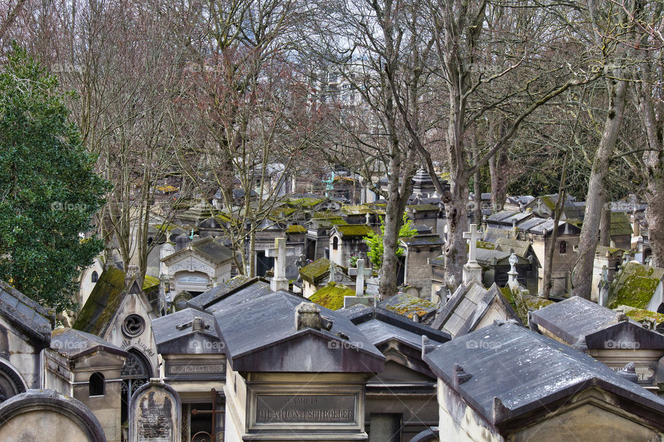 graveyard in the cemetery in paris