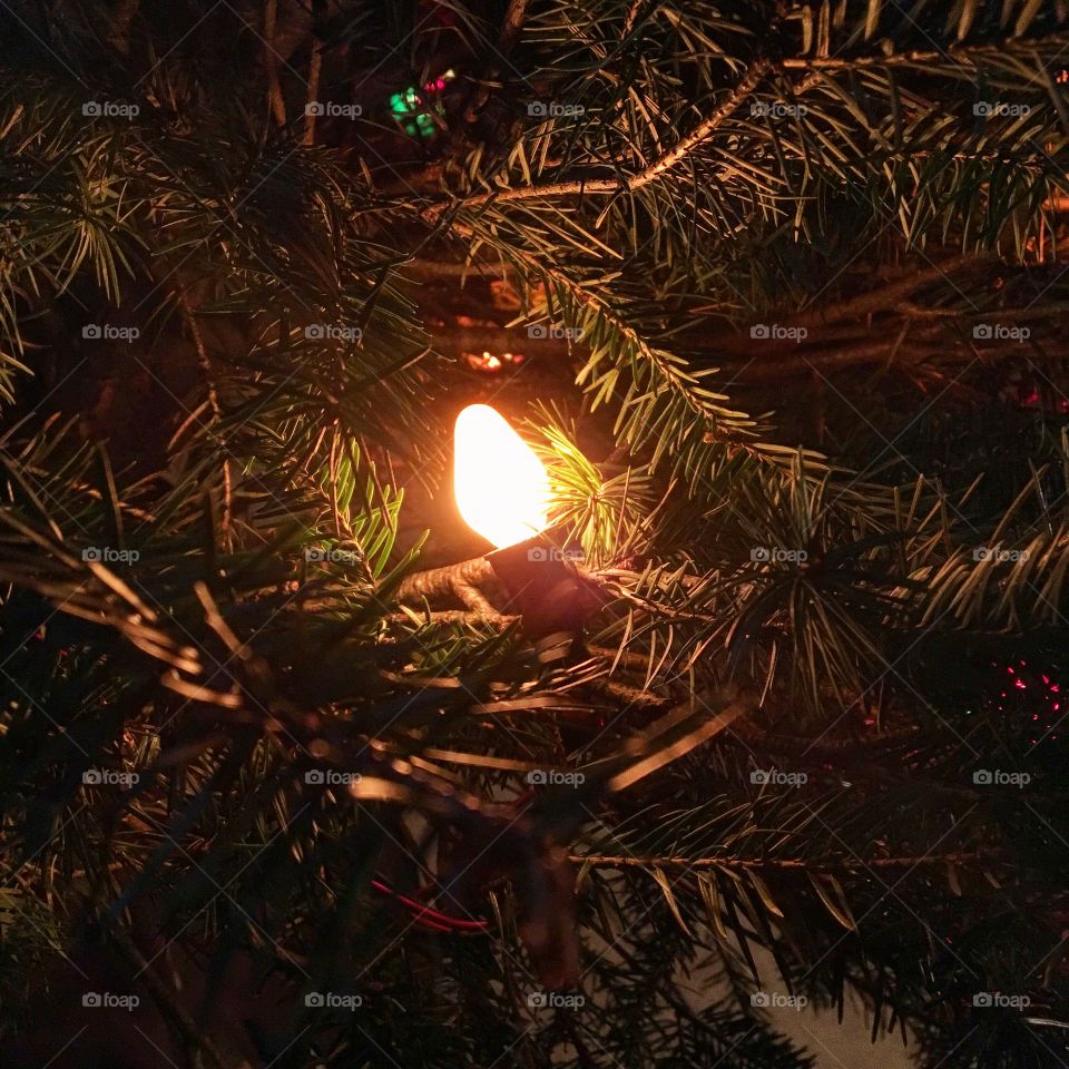 Christmas bulb