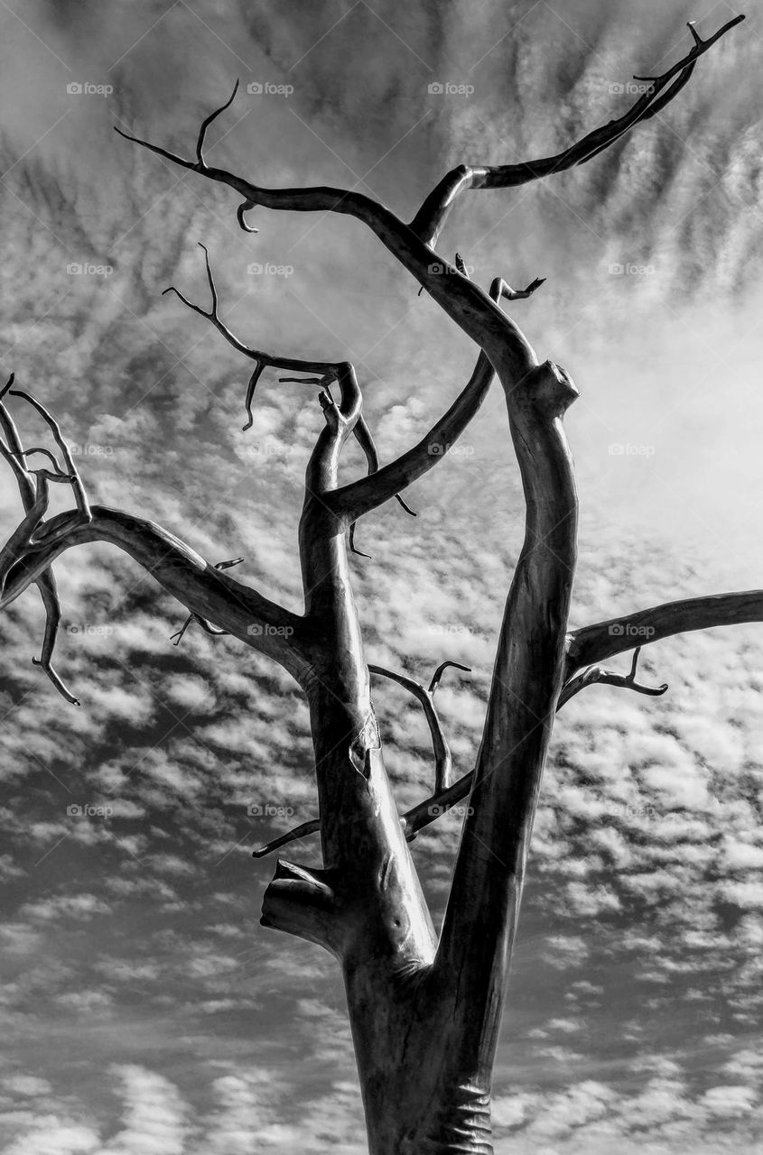 Metal tree sculpture!